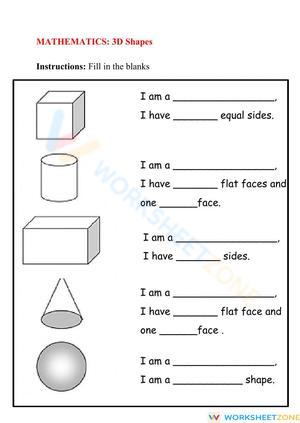 Understanding 3D Shapes