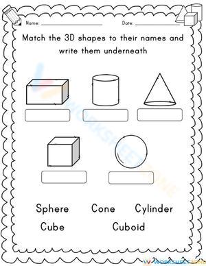 Practice and Reinforce on 3D Shapes