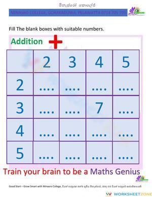 Minasro College - Mathematics for primary classes