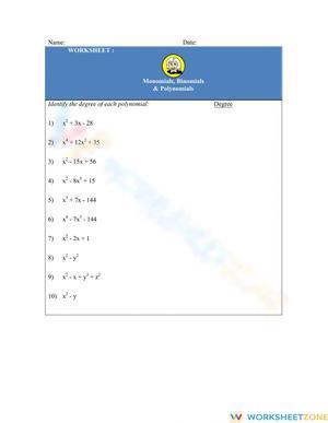 Understanding Polynomials Worksheet