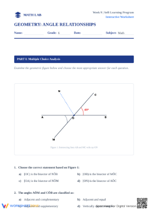 Angle Relationships Worksheet | Grade 6 Math Printable