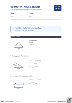 Essential Area and Height Geometry Worksheet | Grades 6-8