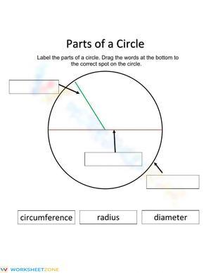 Parts of a Circle: Interactive Activity