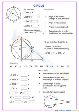 Circle Exploration Geometry Worksheet