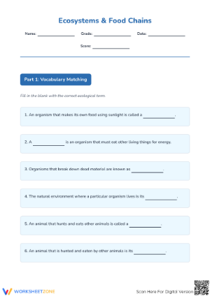Grade 4 Data Analysis — Printable No-Prep Worksheet