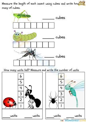 Measuring Insects – Count Units and Cubes 