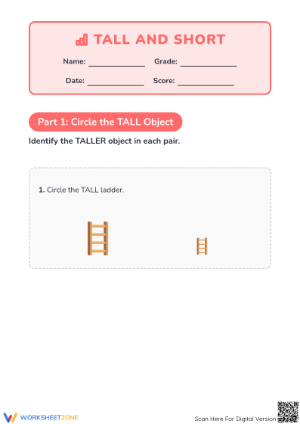 Essential Tall and Short Comparison Worksheet | Kindergarten