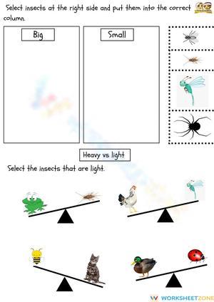 Big vs Small and Heavy vs Light Sorting