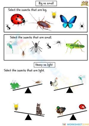 Interactive Insect Sorting Worksheet