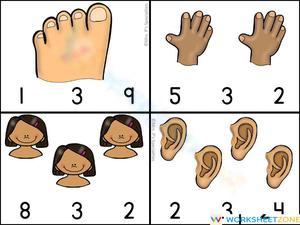 Body Parts Counting