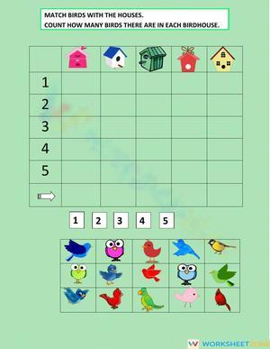 Count the Birds Worksheet