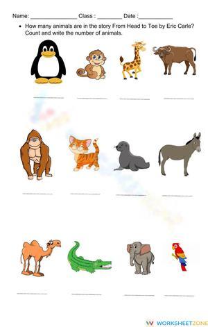 Count the Animals