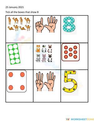 Count to 8 Math Worksheet