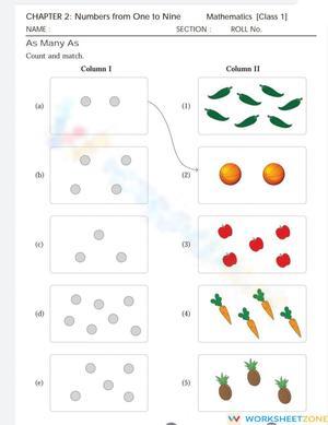 Matching Worksheet for Class 1