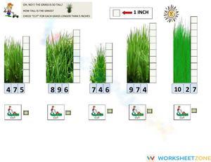 Measure the Grass Length