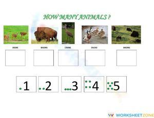 Counting Animals on the Farm