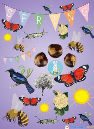 I Spy Spring Counting Game