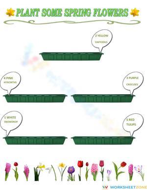 Spring Gardening Activity 