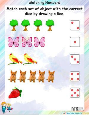 Match Objects and Numbers