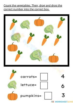 Counting and Drawing: Math Fun
