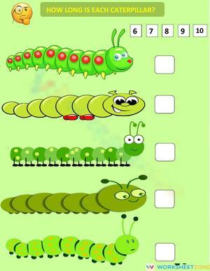 Caterpillar Counting Practice