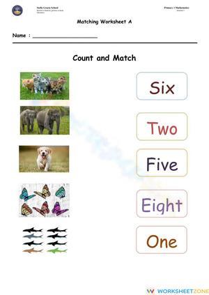 Count and Match Numbers
