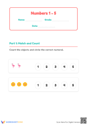 Essential Numbers 1 to 5 Counting Worksheet | Grade K