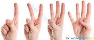 Recognizing Number Worksheet
