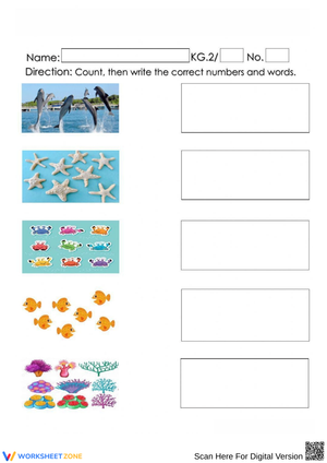 Sea Creature Identification Worksheet