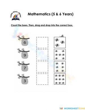 Counting Worksheet for 5-6 Year Olds