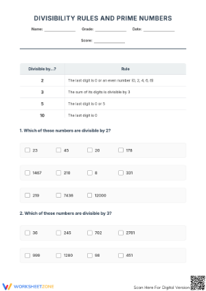 Essential Divisibility Rules & Prime Numbers | Grade 7 Math
