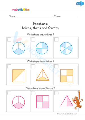 Fractions: halves, thirds and fourths