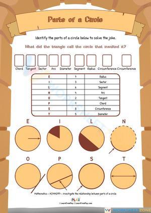 Exploring Circle Parts: Radius, Diameter, Circumference