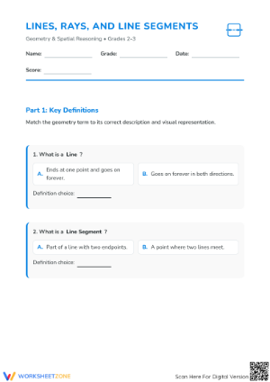 Essential Lines, Rays, and Segments Worksheet | Grade 2-3