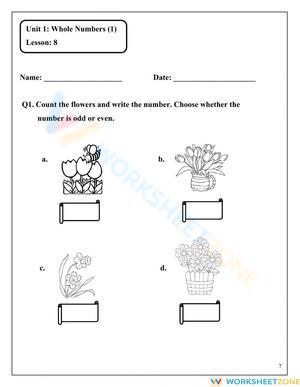 Odd and Even Number Concepts