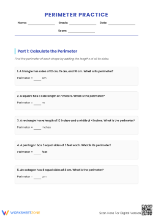 Essential Perimeter Practice Worksheet | Grade 3 Math