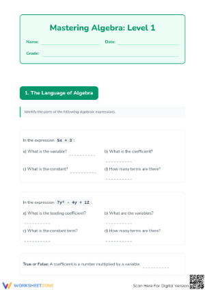 Essential Intro to Algebra Worksheet | Grade 6 Math