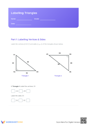 Labelling Triangles Worksheet | Essential Grade 6 Geometry