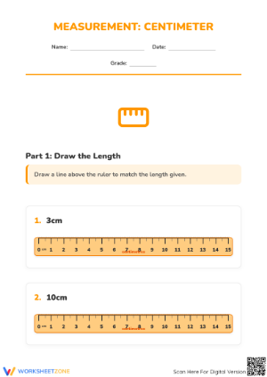 Centimeter Measurement Worksheet | Grade 2 Printable Ready