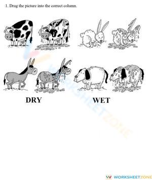 Dry or wet