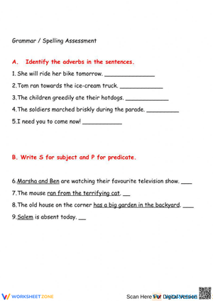 Grammar Assessment For Students