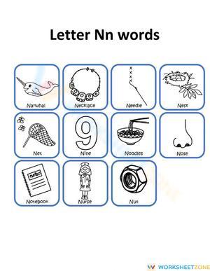Nn words
