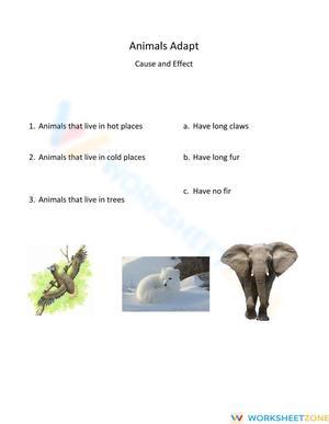 Grade 7 Cause & Effect — Printable No-Prep Worksheet