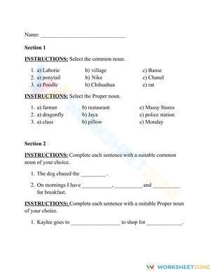 Printable Common & Proper Nouns Worksheet | Grade 1-2 ELA