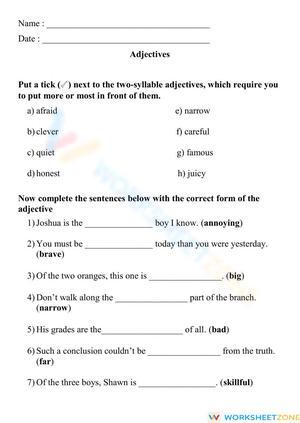 Grade 5 Adjectives & Homophones — Printable Worksheet