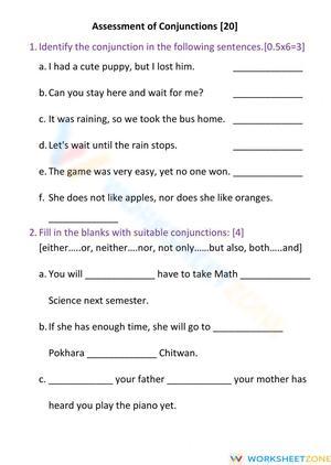 Conjunctions Worksheet | Assessment for Students