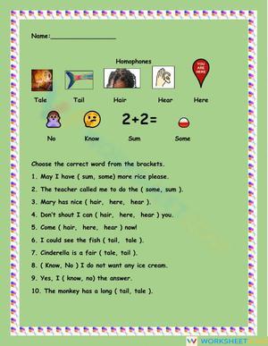 Homophones Practice Worksheet for Students