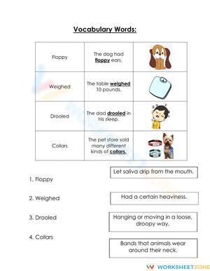 Context Clues Week 2