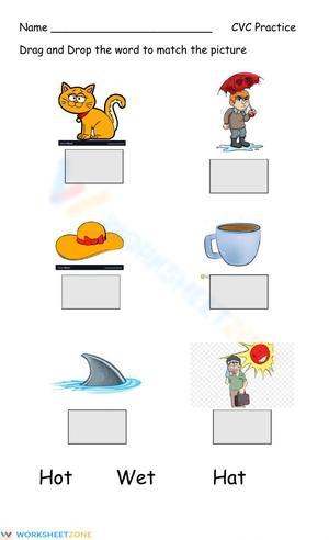 Essential CVC Word Practice Worksheet | Grade 1 Phonics