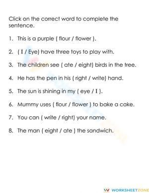 Homophones Practice Worksheet | Grade 2 Essential